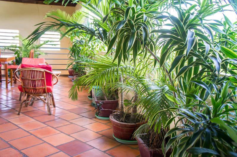 Visal Sak Guesthouse Kep Dış mekan fotoğraf